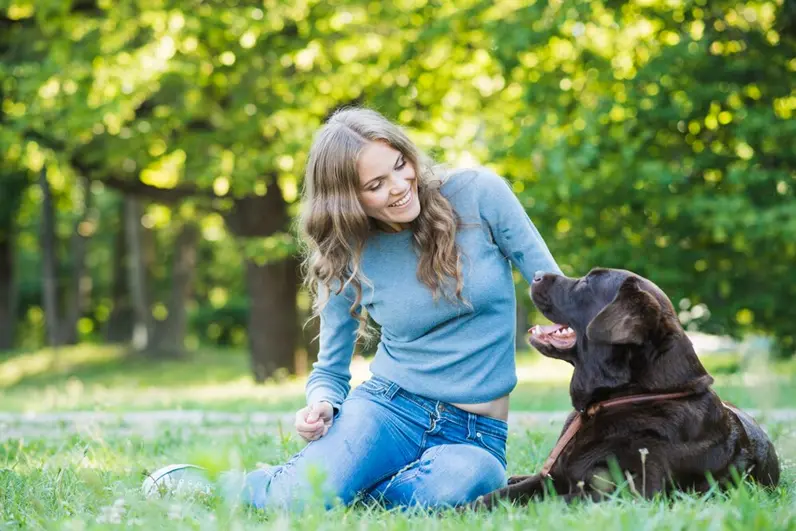 11 Frequently Asked Questions About Tick Bites on Dogs